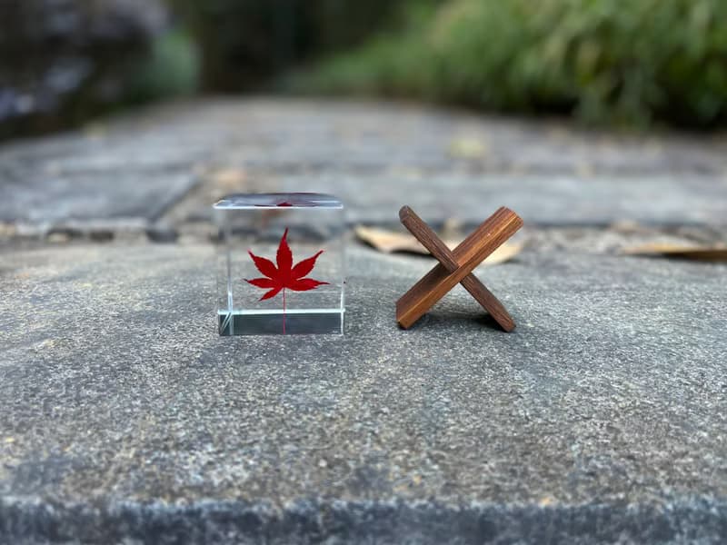 楓葉樹脂標本6cm立方體/帶支架木盒