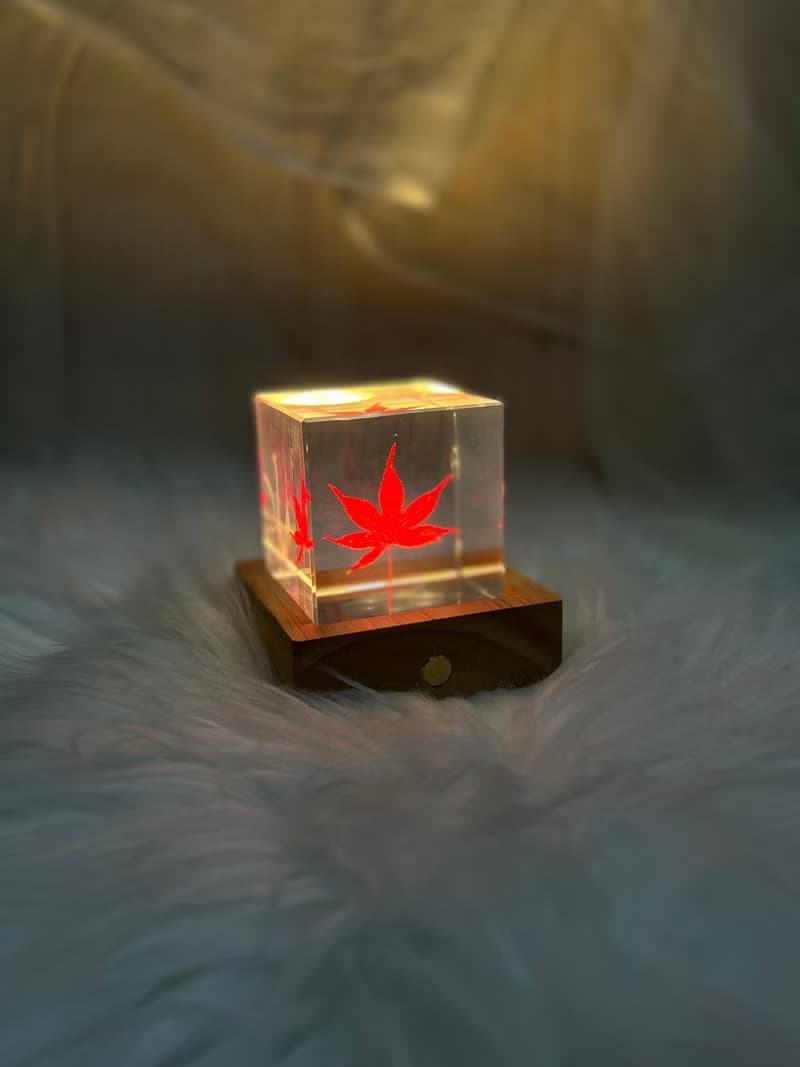 楓葉樹脂標本6cm立方體/帶支架木盒