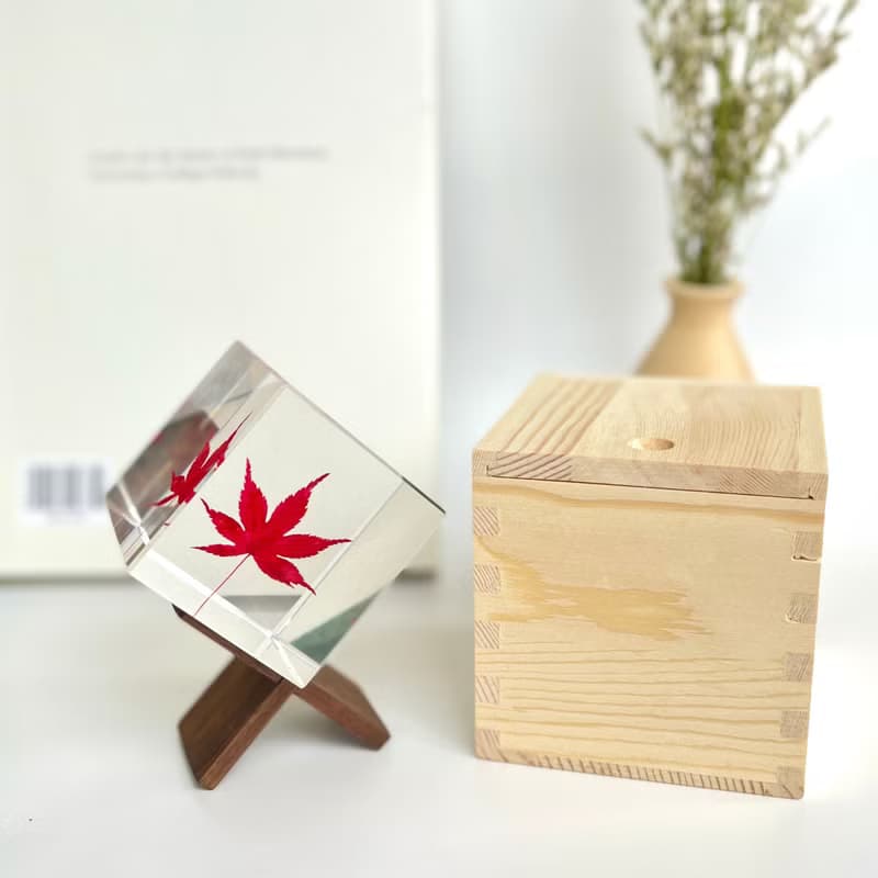 楓葉樹脂標本6cm立方體/帶支架木盒