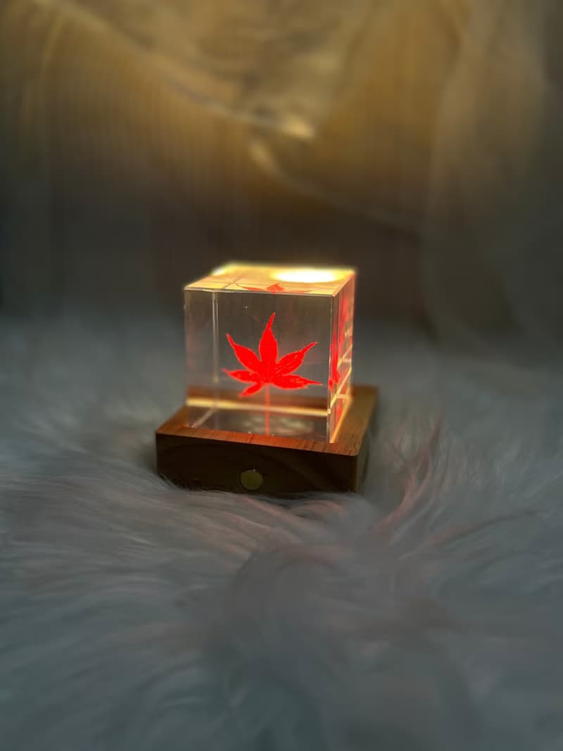 楓葉樹脂標本6cm立方體/帶支架木盒