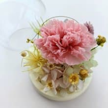 永生康乃馨玫瑰玻璃盅罩 生日開幕店面居家佈置七夕情人節花束中