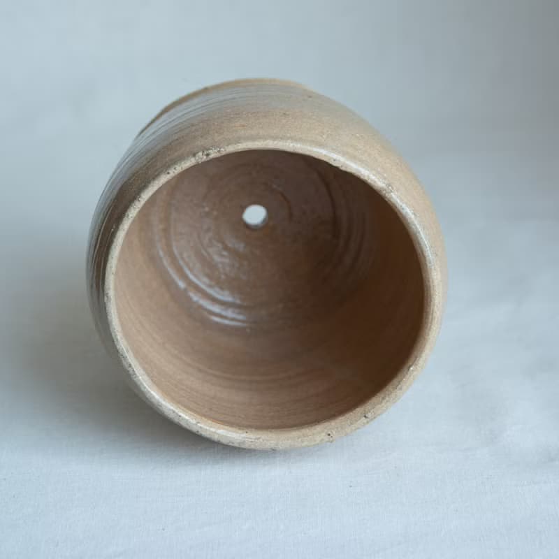 盆器 陶器 植物