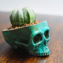 Skull pots cactus small potted plants in brass and Patina color Handcrafted from
