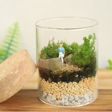 【微景觀】遠足 - 苔蘚組盆/冒險/交換禮物/生日禮物/畢業禮物
