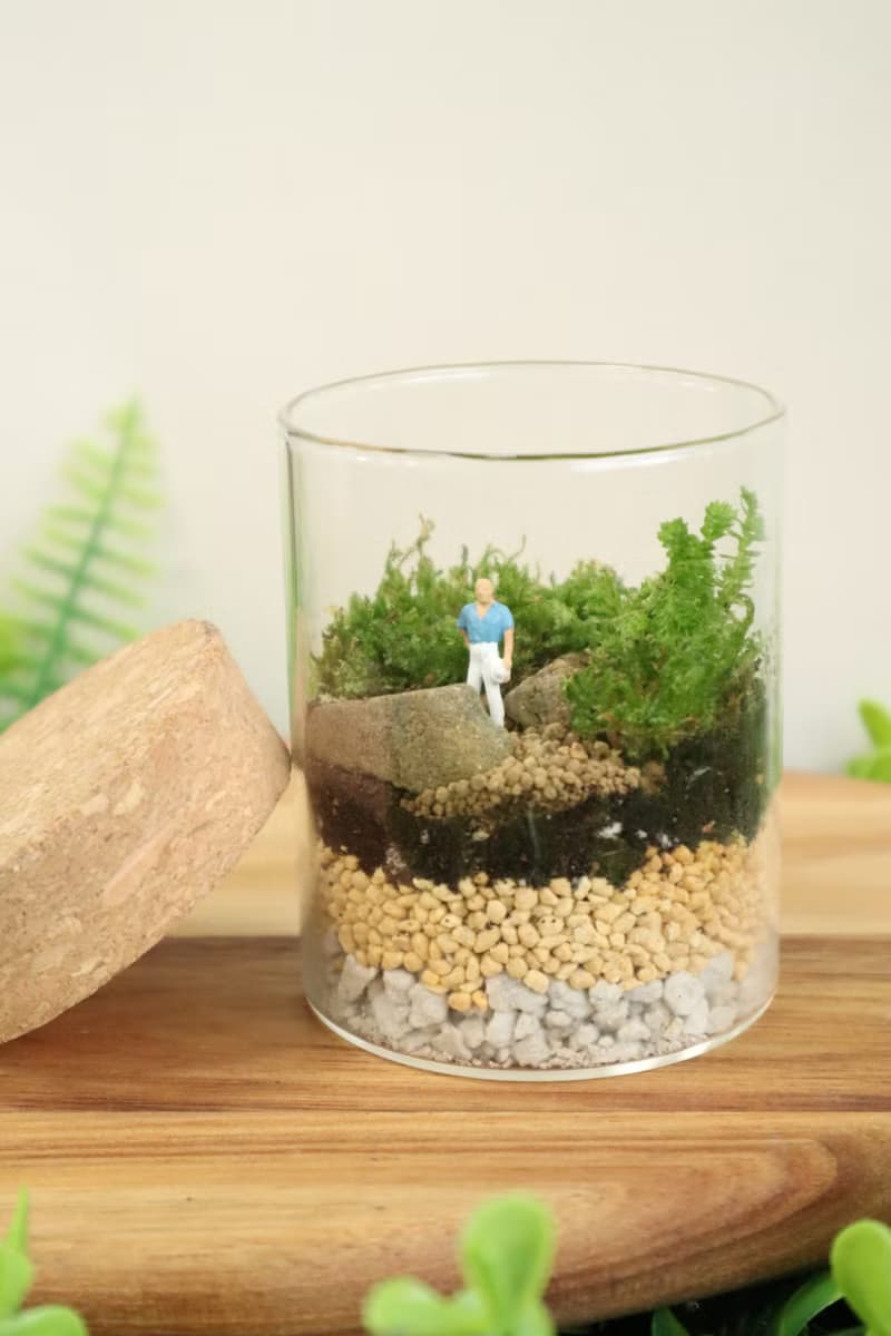 【微景觀】遠足 - 苔蘚組盆/冒險/交換禮物/生日禮物/畢業禮物