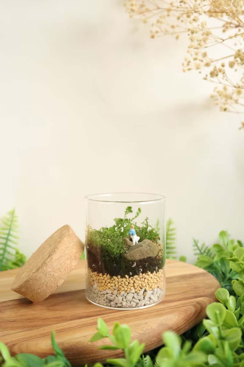 【微景觀】遠足 - 苔蘚組盆/冒險/交換禮物/生日禮物/畢業禮物