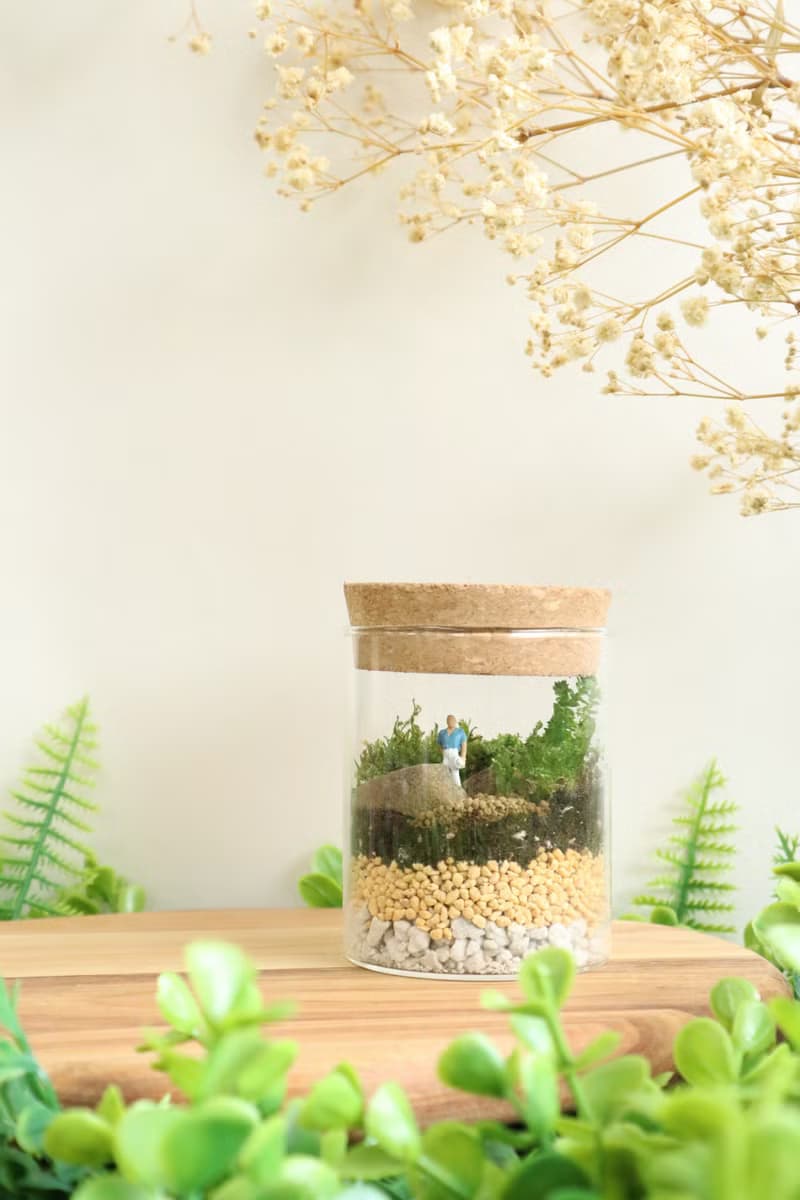 【微景觀】遠足 - 苔蘚組盆/冒險/交換禮物/生日禮物/畢業禮物
