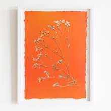 Wildflowers green orange wall art Pressed flower art Herbarium botanical plant