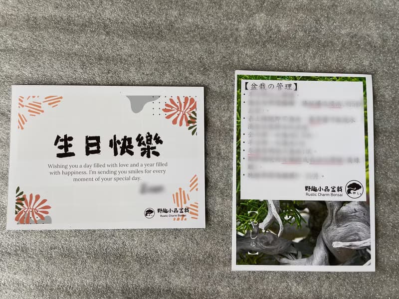 盆栽-紫薇 百日紅 盆景 送禮