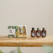 【多入優惠】春神覓版畫隨身禮50mLx3 | 肖楠葉旅行組 企業禮贈品
