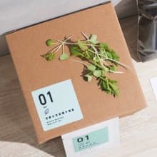 01京都水京菜種子_入坑禮物盒