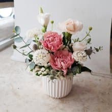 鮮花。Love媽咪。母親節康乃馨鮮花盆花
