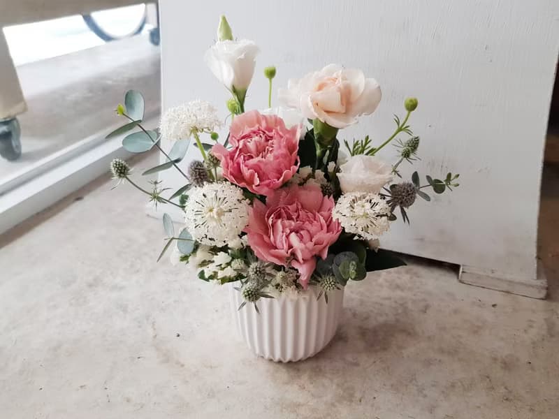 鮮花。Love媽咪。母親節康乃馨鮮花盆花