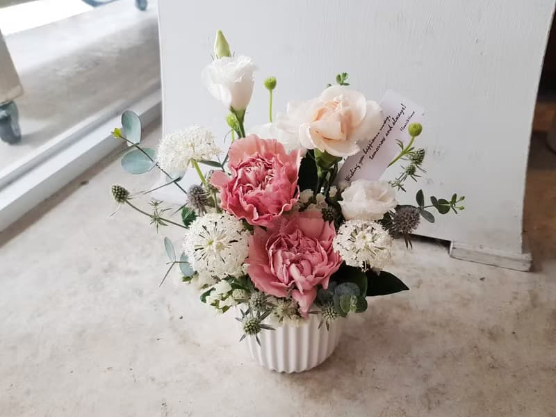 鮮花。Love媽咪。母親節康乃馨鮮花盆花