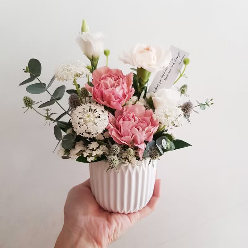 鮮花。Love媽咪。母親節康乃馨鮮花盆花