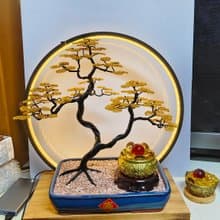 開幕送禮手作招財樹 聚寶盆