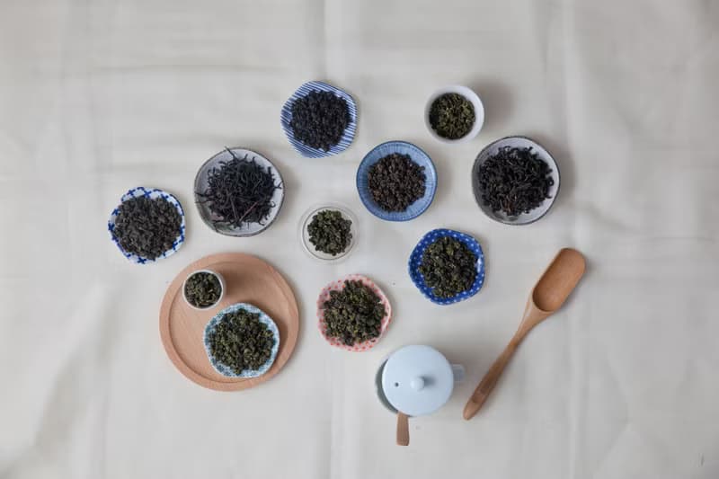 【小蔣茶鋪】山凝茶韻大禹嶺–75g、150g 罐裝