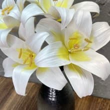 皮革百合花【花】