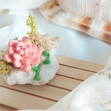 仿真黏土多肉 橘夢 綠之鈴 組合小盆