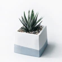 (現貨) 莫蘭迪藍系列 | 十二之卷-方形漸層水泥多肉植栽