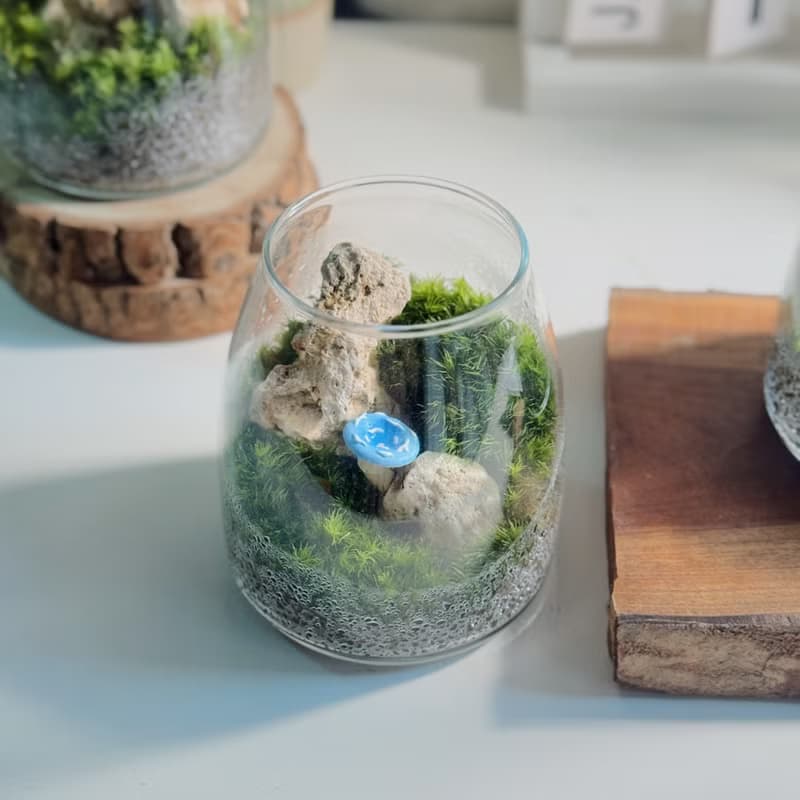 【微景觀】Mogu 苔蘚缸.生態缸.造景.景觀