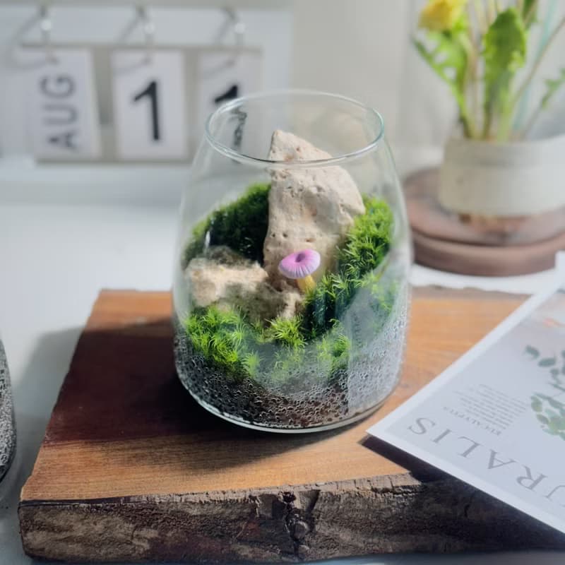 【微景觀】Mogu 苔蘚缸.生態缸.造景.景觀