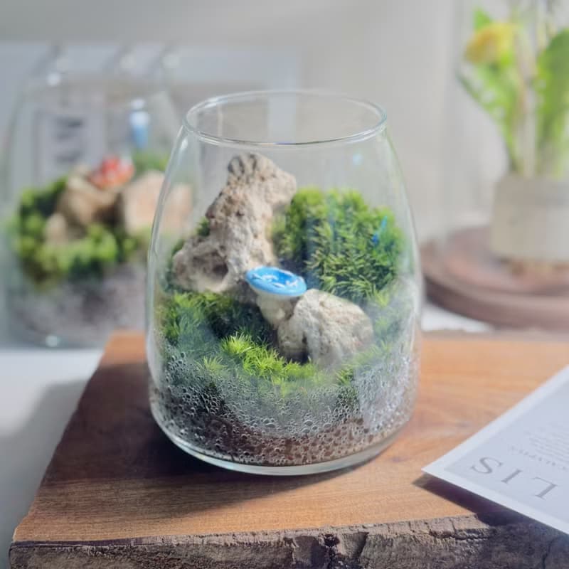 【微景觀】Mogu 苔蘚缸.生態缸.造景.景觀