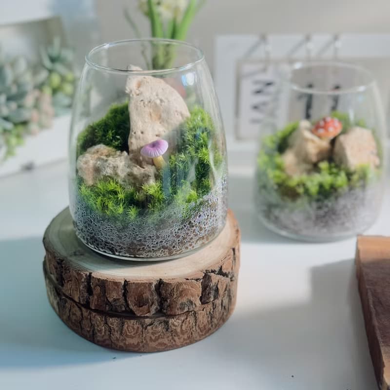 【微景觀】Mogu 苔蘚缸.生態缸.造景.景觀