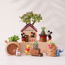 【迪士尼 多肉盆栽罐】 | 無植物須加購