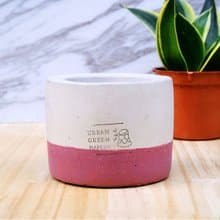 UGM圓型清水模盆器 / 深紫