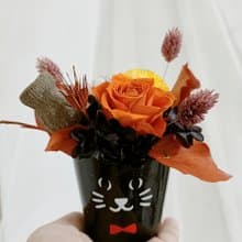 萬聖節貓咪永生玫瑰盆花 求婚告白情人節生日男/女生禮物教貓之日