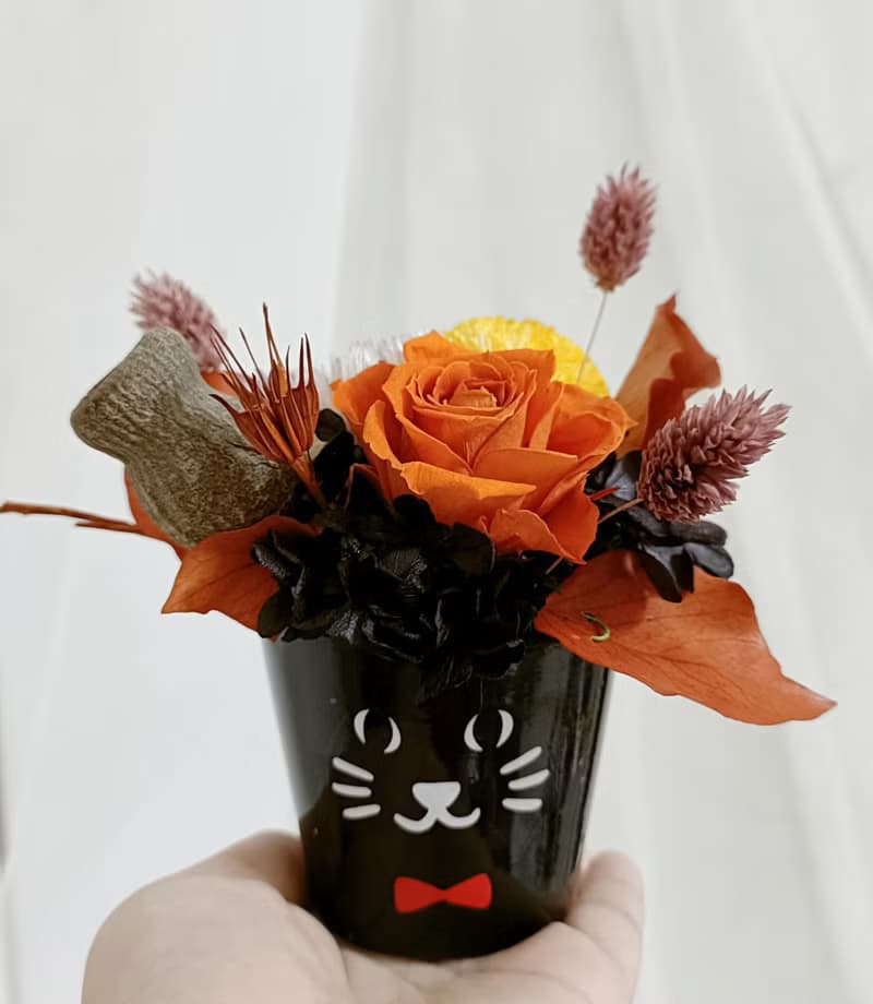 萬聖節貓咪永生玫瑰盆花 求婚告白情人節生日男/女生禮物教貓之日