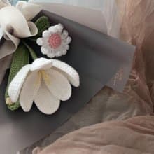 鬱金香與小雛菊花束 Tulip & Daisy