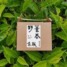 野薑花烏龍 | 茶包10入【野薑花香】