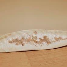 【笹舟皿1】手作陶盤/碟