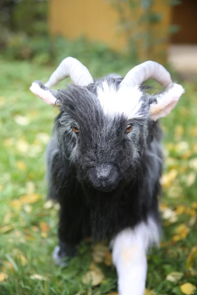 Goat realistic plush toy. Stuffed animals by photo. Poseable art doll