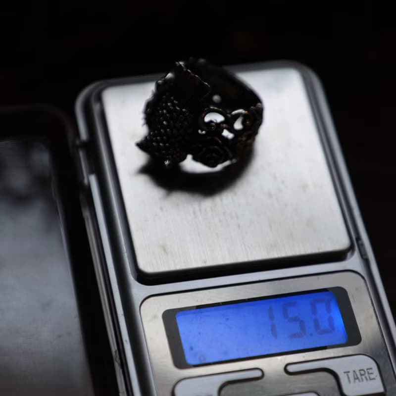 貓頭鷹花羽毛環銀動物玫瑰鳥