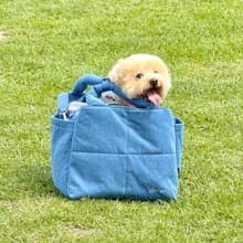 AU-au! Fonny Bubble Bag_寵物包_媽媽包_工作包_旅行包