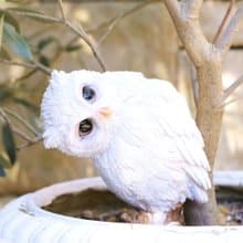 デバリエ ca227 【正規品】みみずくの置物 ミミズク フクロウの置物 フクロウ レジン製 ギフト かわいい 誕生日プレゼント