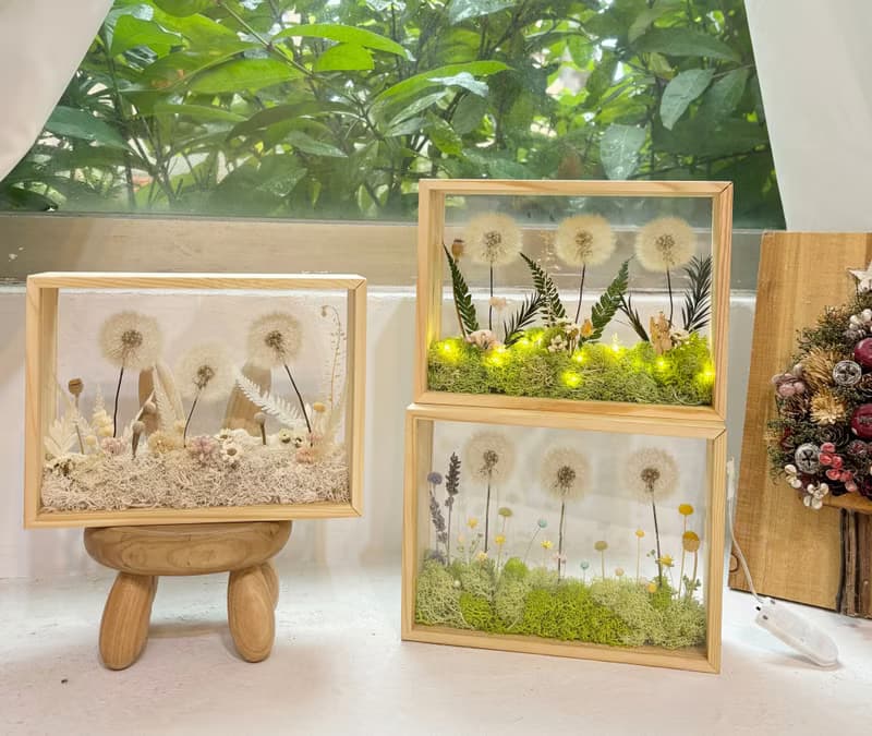 蒲公英花園 相框微景觀 青青草原款式