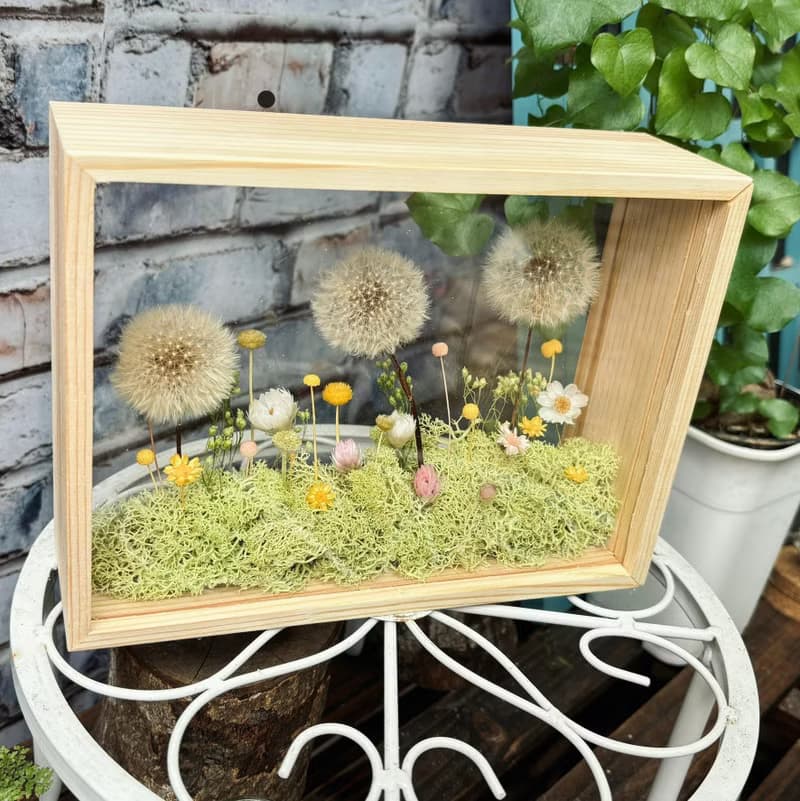 蒲公英花園 相框微景觀 青青草原款式