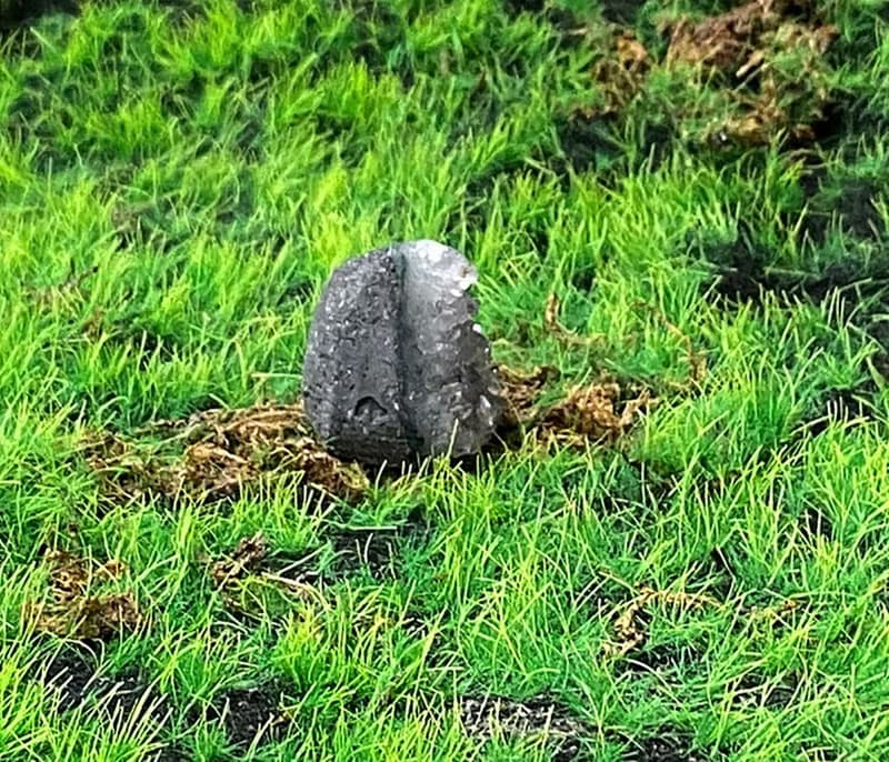 能量擺飾-天然可愛低調紫小紫晶鎮 紫水晶 財運水晶 增智慧