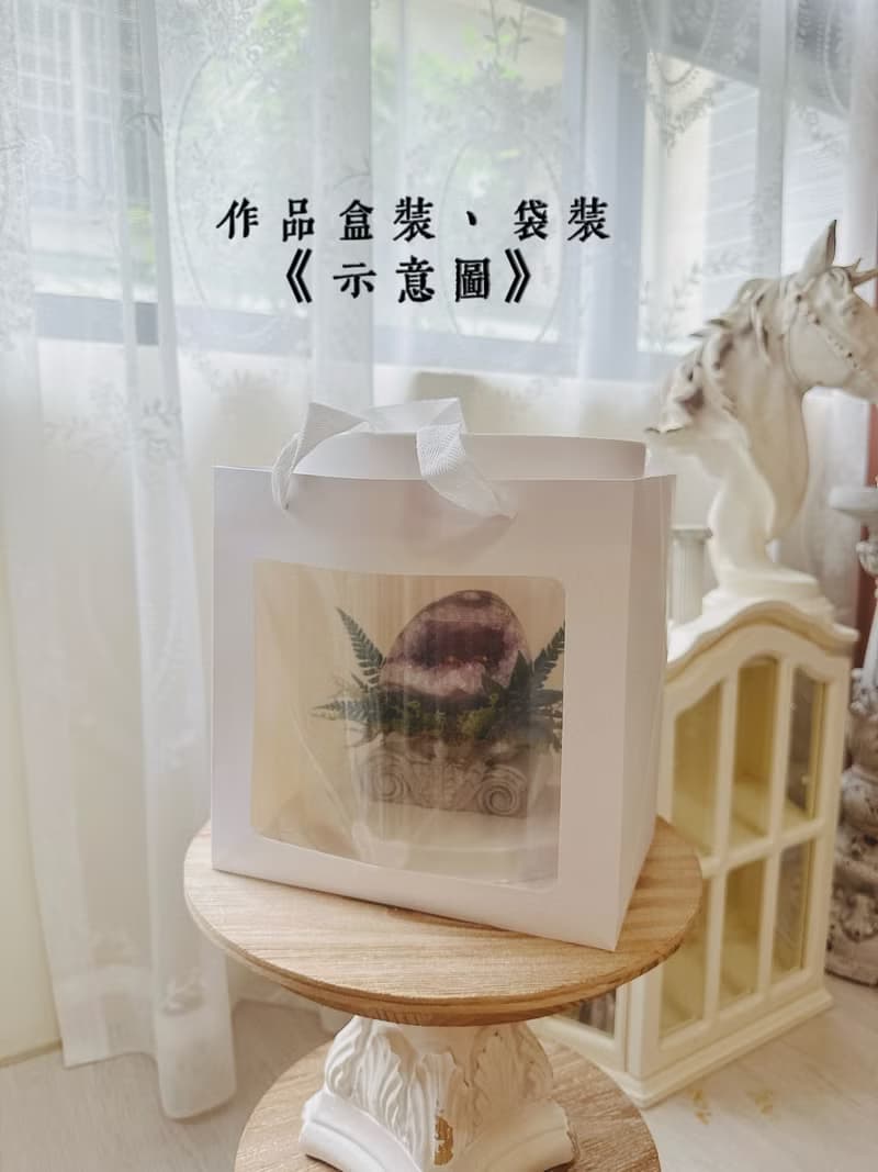 一柱擎天 光之脊柱_ 白水晶柱 不用澆水的植物微景觀 綠植栽