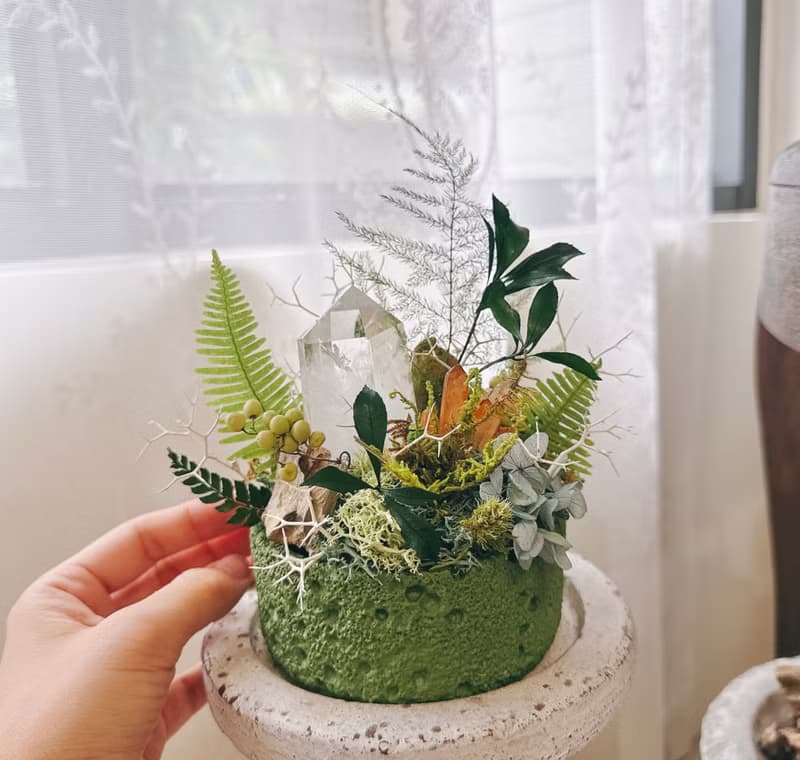一柱擎天 光之脊柱_ 白水晶柱 不用澆水的植物微景觀 綠植栽