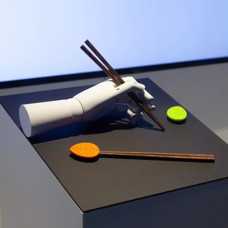 美國 MoMA x SVA Ambi 筷子&筷托套裝 廚房家用聚會 環保筷子