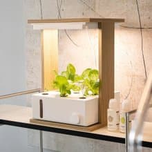 桌上型水耕種菜機 在家自種香草沙律菜 母親節家電