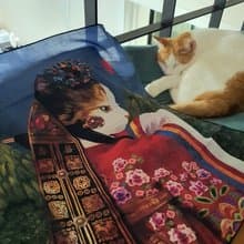 cat korea illustration handkerchief, hankie