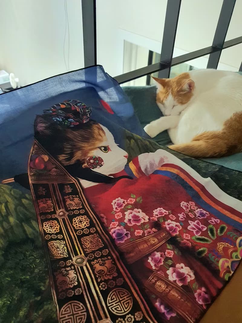 cat korea illustration handkerchief, hankie