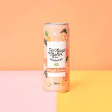 鳳梨柑橘康普茶 330ml/罐裝14瓶