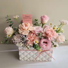 鮮花。Love媽咪。母親節。陽台上的小花園(杏粉) 。康乃馨盆花